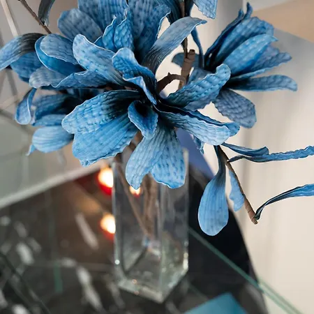 Annasa Fine Living *